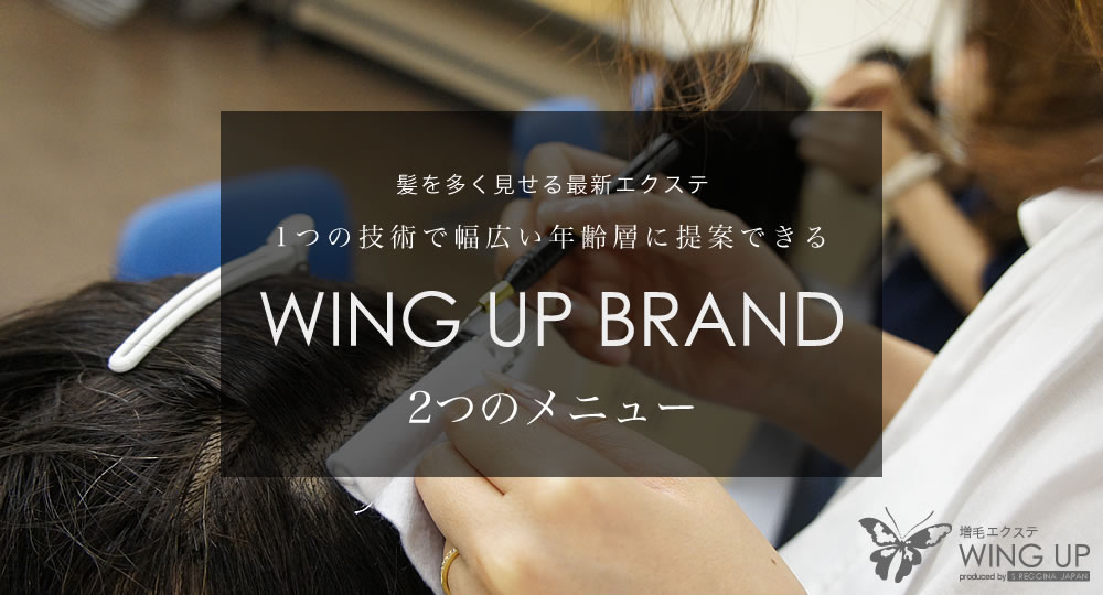 髪を多く見せる最新エクステ WING UP BRANDの2つのメニュー