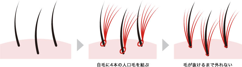 増毛エクステのベーシック技術